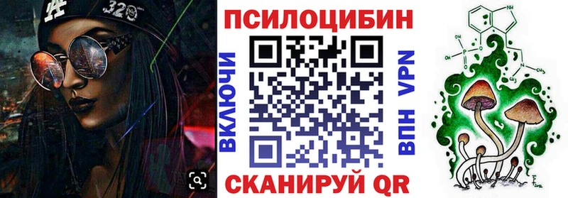 Галлюциногенные грибы Psilocybine cubensis  Сосновоборск 
